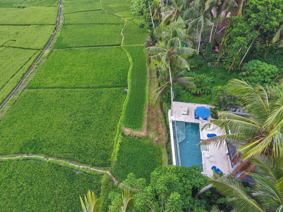 Villa Balinese Luxurious Elegance Ubud Exterior foto