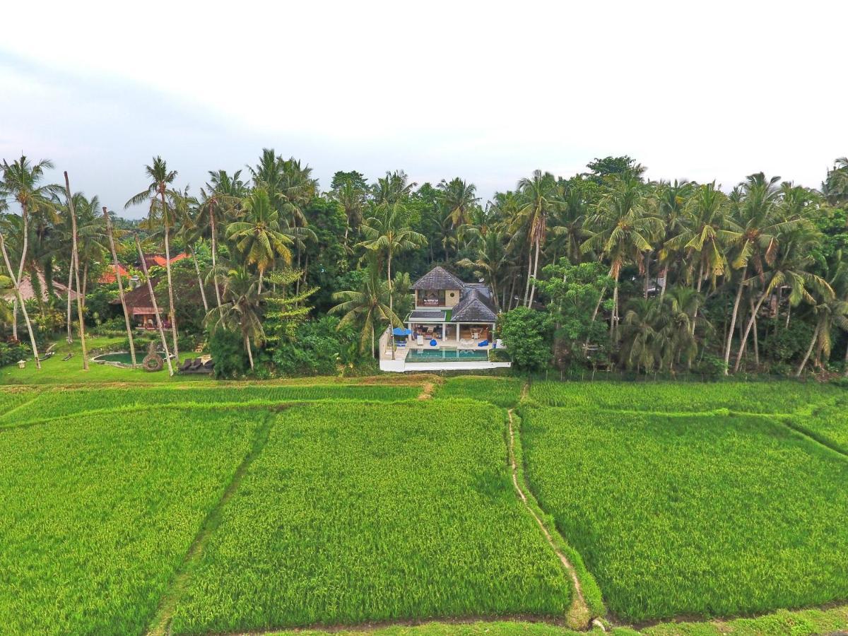 Villa Balinese Luxurious Elegance Ubud Exterior foto