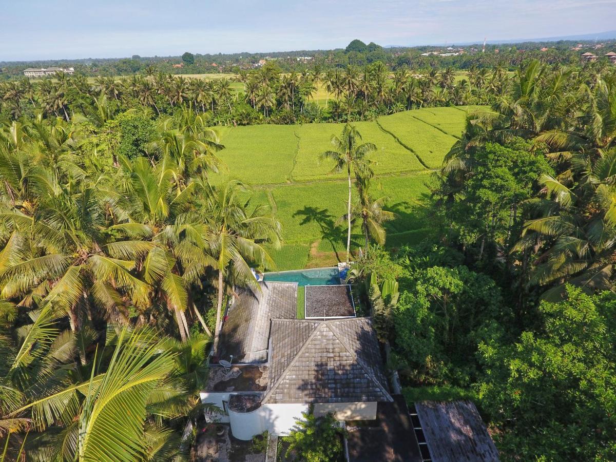 Villa Balinese Luxurious Elegance Ubud Exterior foto