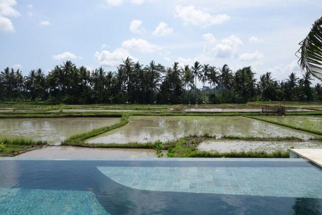 Villa Balinese Luxurious Elegance Ubud Exterior foto